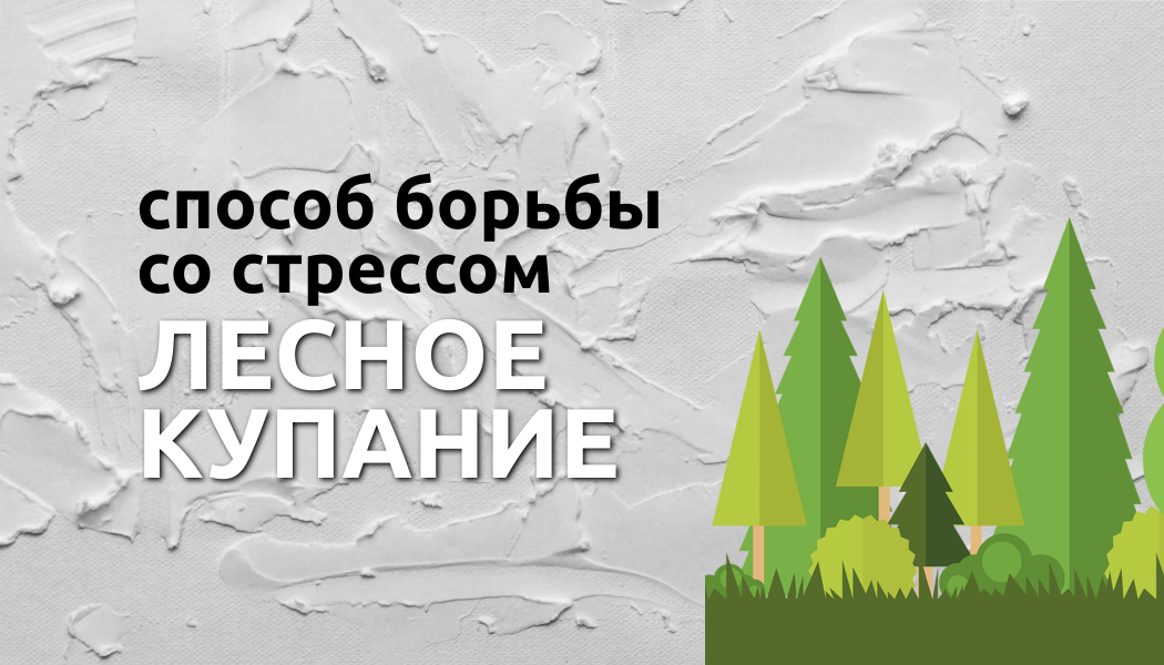 Что такое синрин-йоку и как она влияет на наше самочувствие?