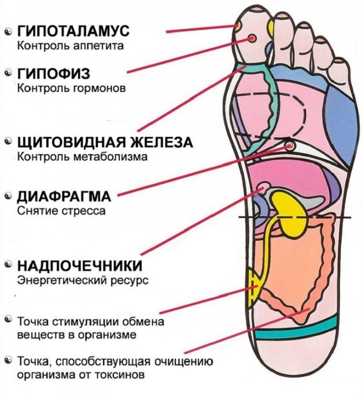 7-aktivnyh-tochek-na-stope-kotorye-bystro-vernut-k-zhizni-images (1).jpg