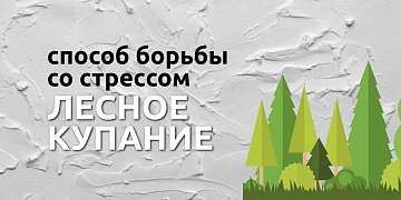 Что такое синрин-йоку и как она влияет на наше самочувствие?